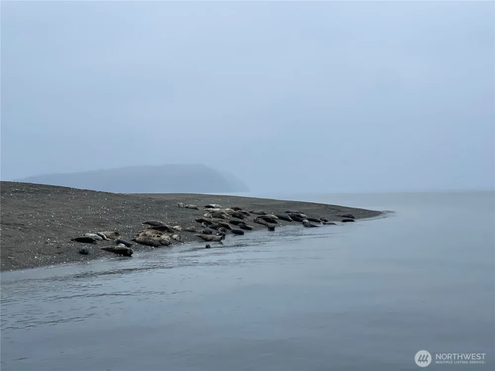 29 K Beach Way Hat Island, WA 98206