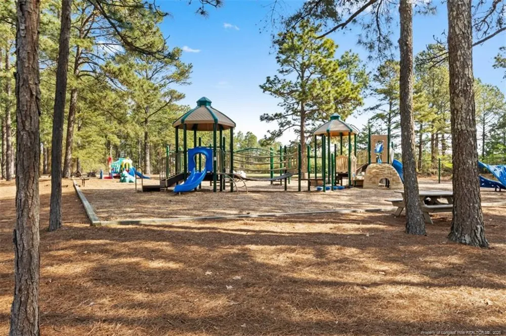 118 Otter Drive West End, NC 27326