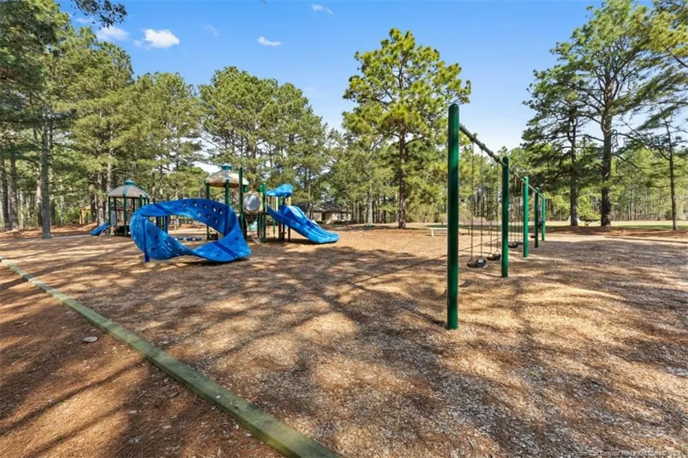 118 Otter Drive West End, NC 27326