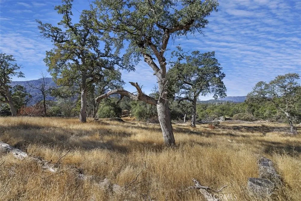 Village Drive Oakhurst, CA 93644