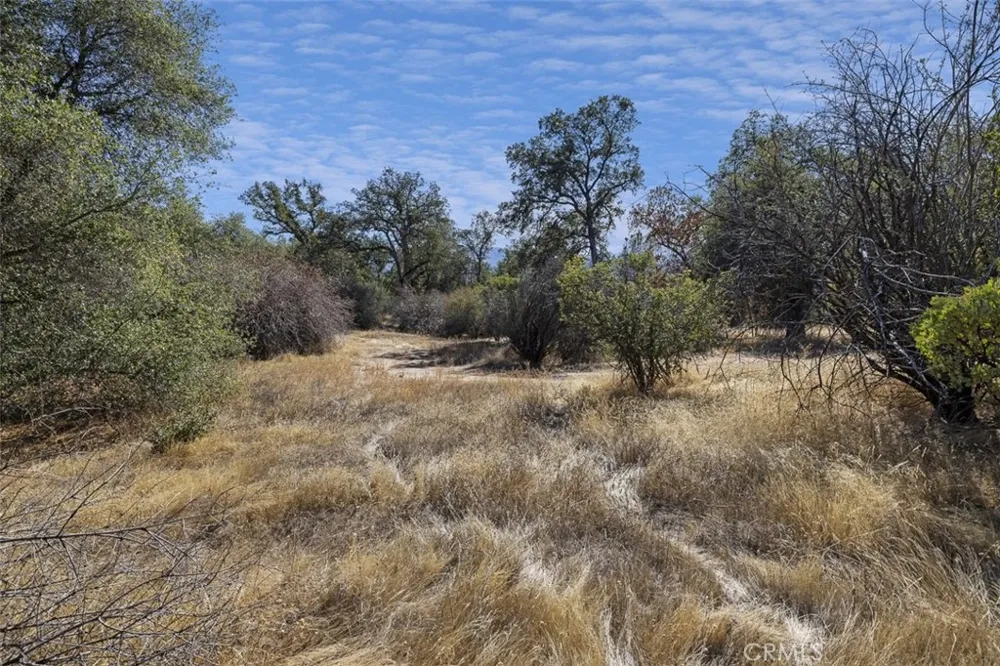 Village Drive Oakhurst, CA 93644