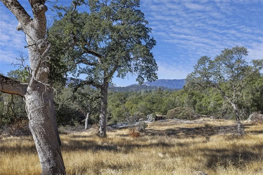 Village Drive Oakhurst, CA 93644