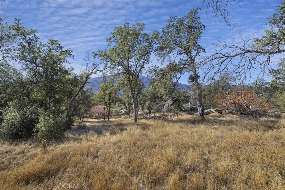 Village Drive Oakhurst, CA 93644