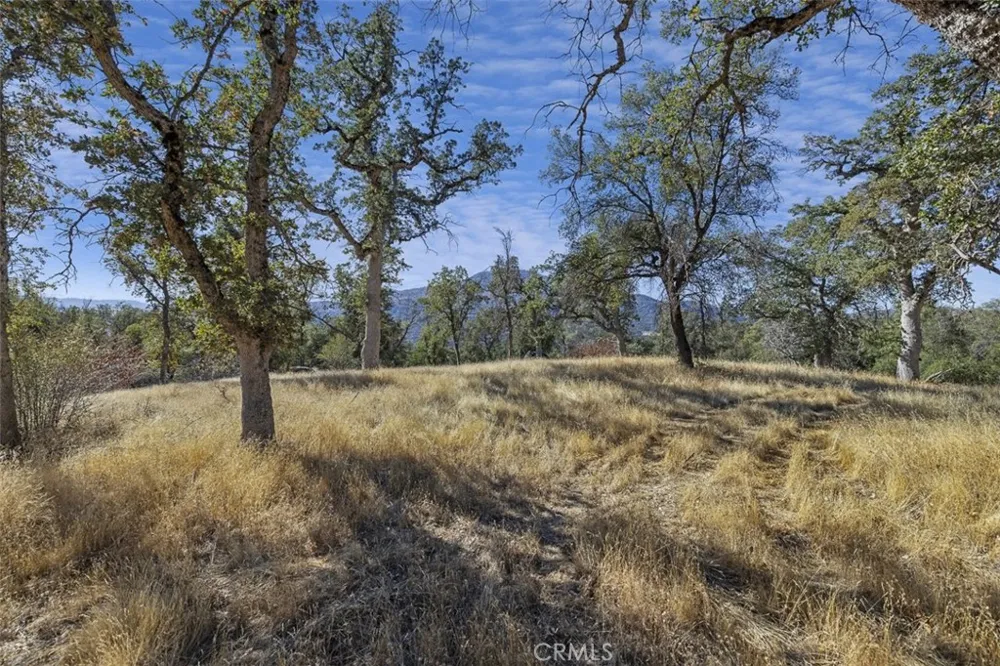 Village Drive Oakhurst, CA 93644