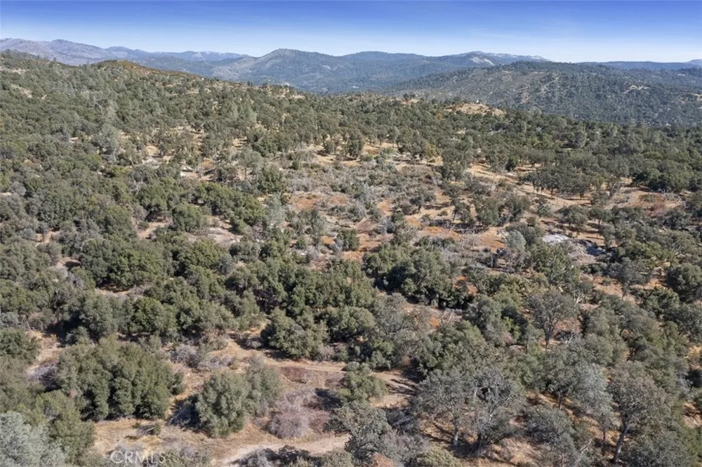 Village Drive Oakhurst, CA 93644