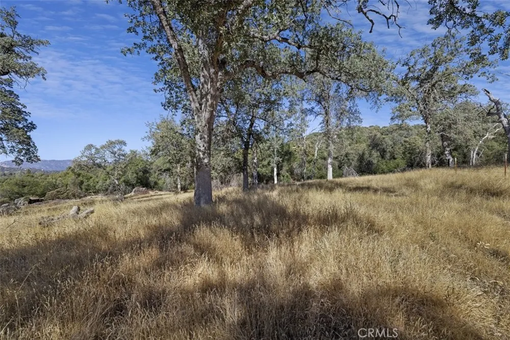 Village Drive Oakhurst, CA 93644