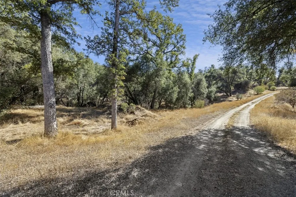 Village Drive Oakhurst, CA 93644