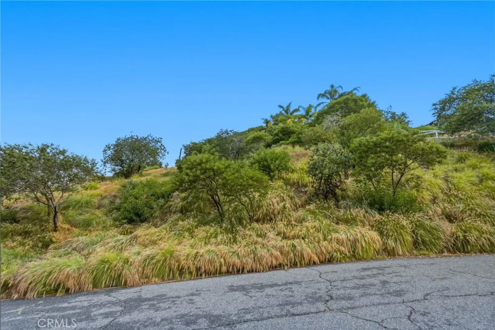 Arvin Glendale, CA 91208