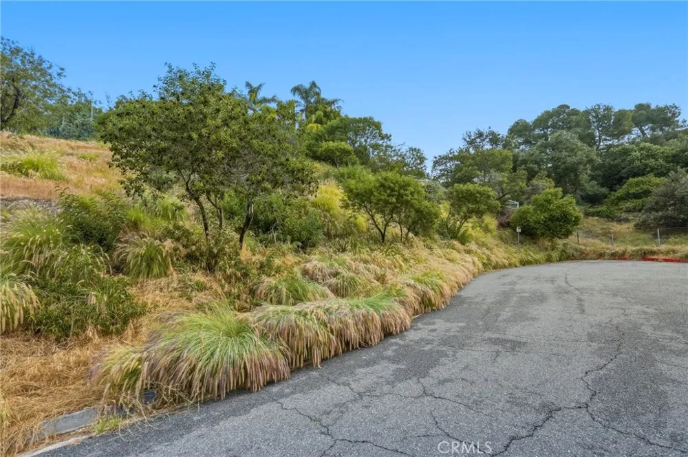 Arvin Glendale, CA 91208