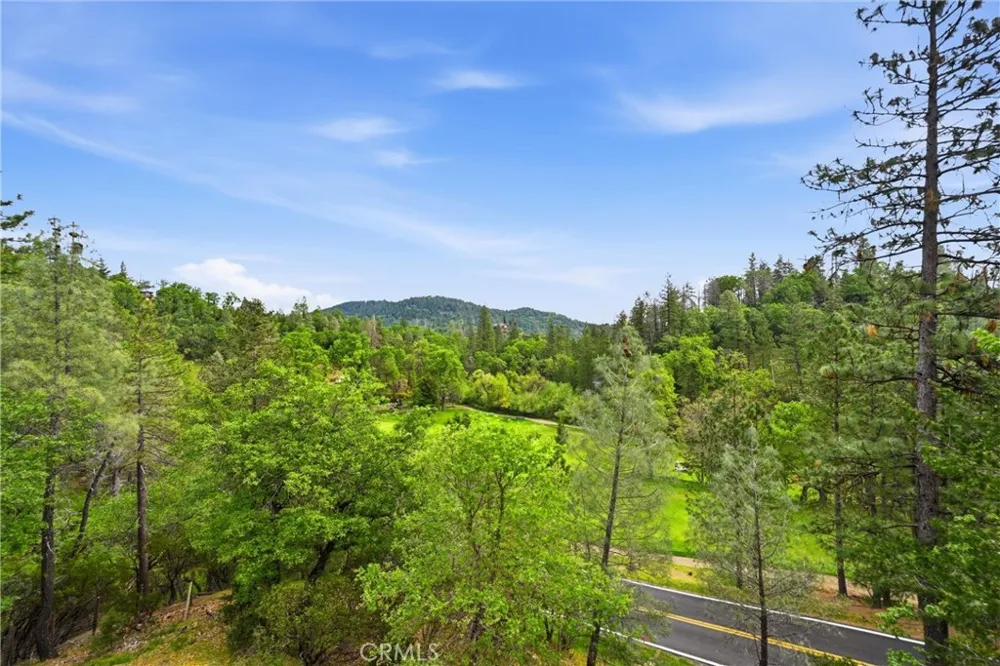 14000 Nelson Lane Cobb, CA 95426