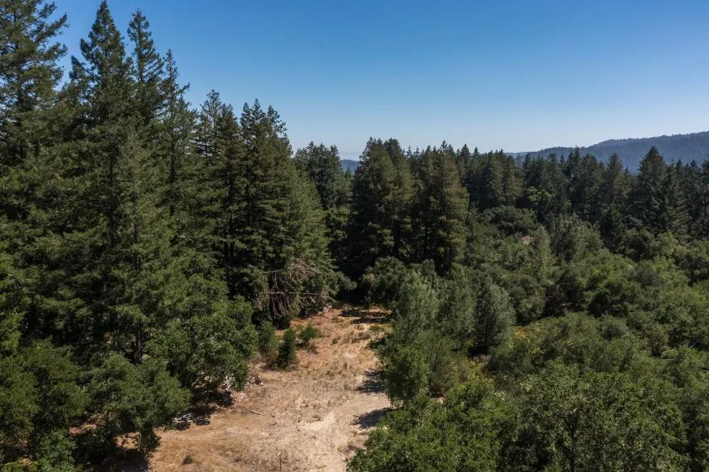 225 Santa Cruz Street Boulder Creek, CA 95006