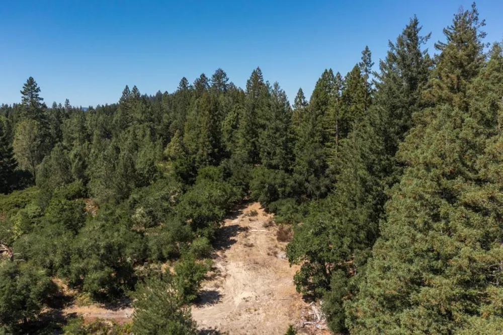 225 Santa Cruz Street Boulder Creek, CA 95006