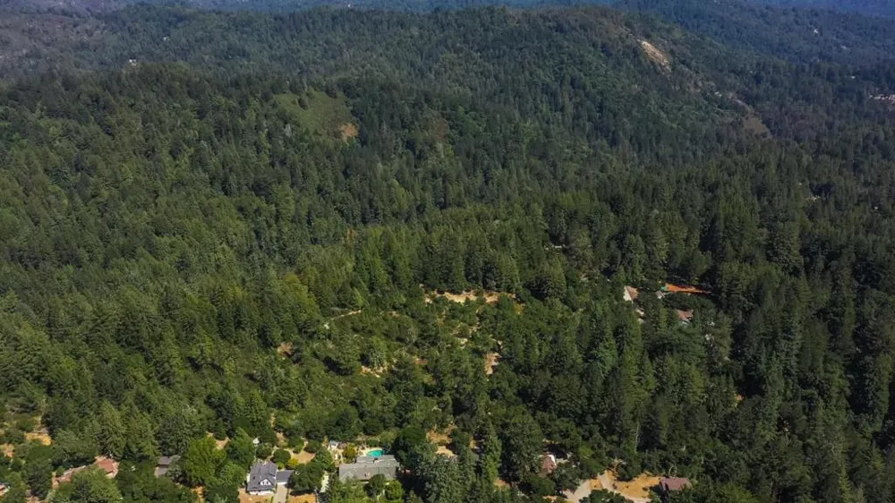 225 Santa Cruz Street Boulder Creek, CA 95006