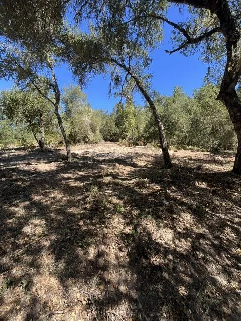 225 Santa Cruz Street Boulder Creek, CA 95006