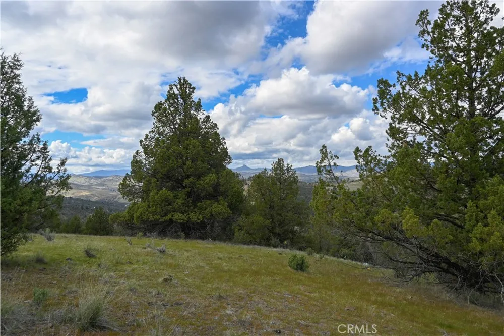 unit 5 Lot 121 Raven Ct. Montague, CA 96064