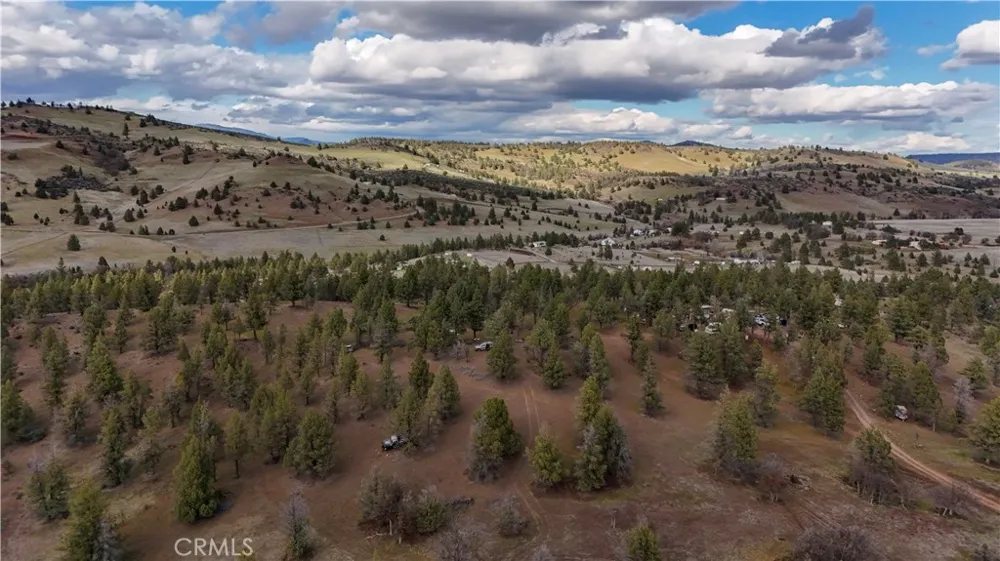 Willit Way Montague, CA 96064