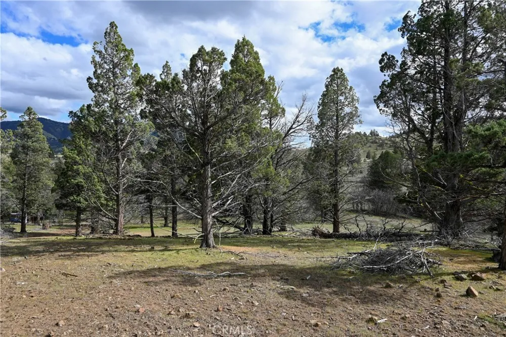 Willit Way Montague, CA 96064