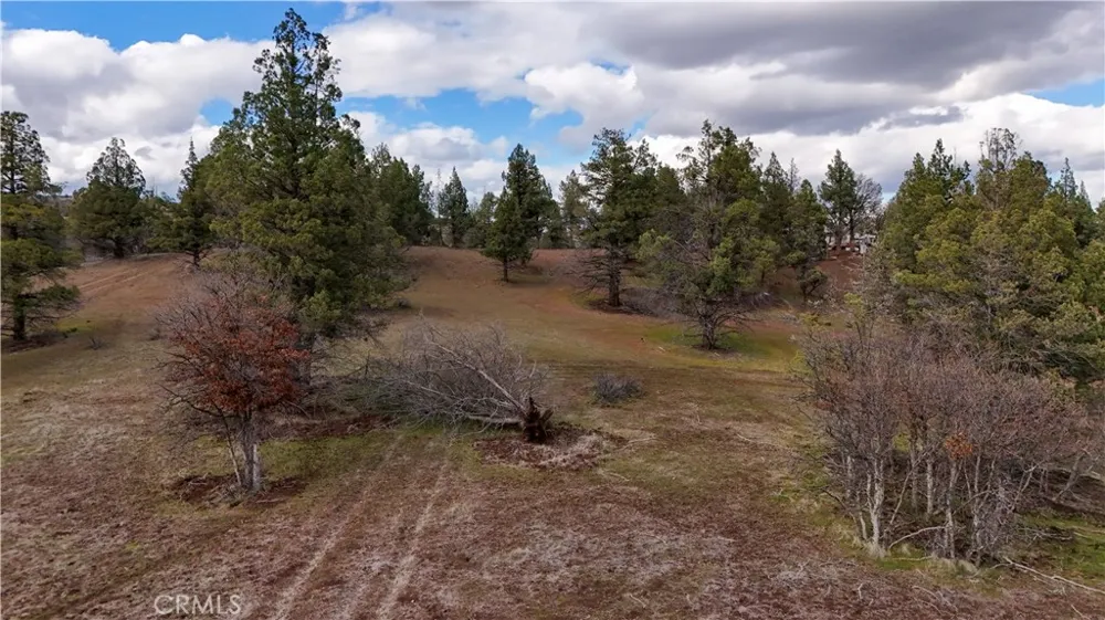 Willit Way Montague, CA 96064