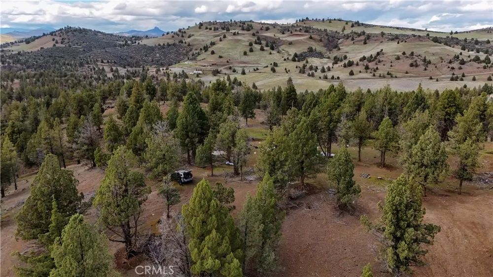 Willit Way Montague, CA 96064