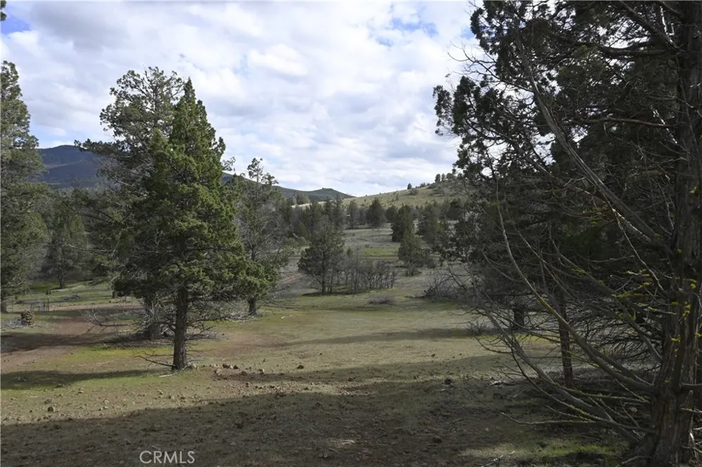 Willit Way Montague, CA 96064