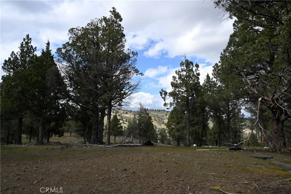 Willit Way Montague, CA 96064