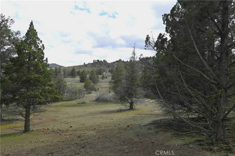 Willit Way Montague, CA 96064
