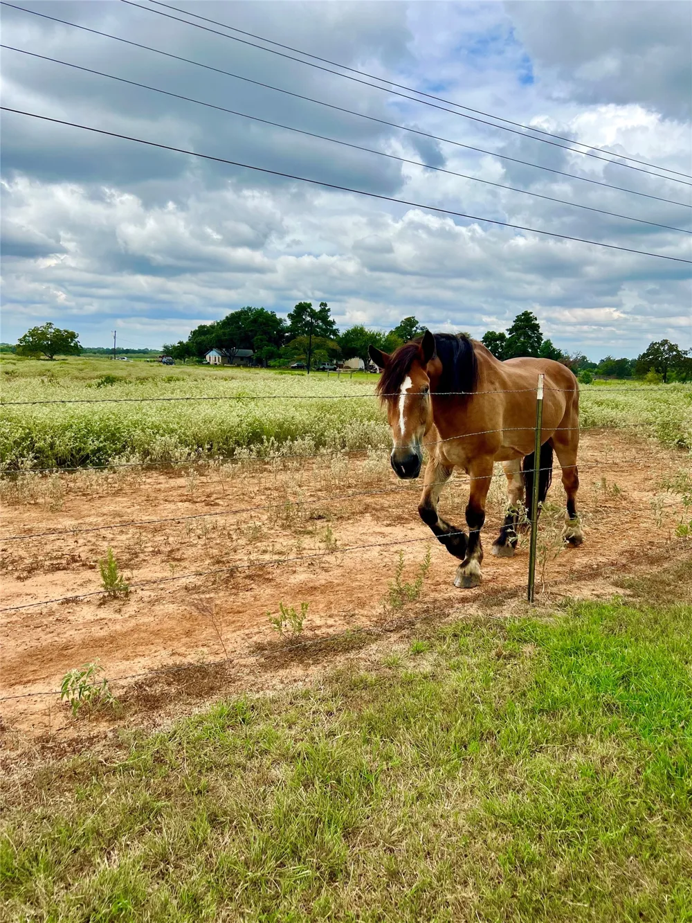 1286 County Road 446 Rockdale, TX 76567