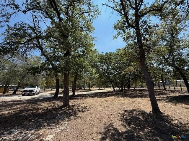 263 Hickory Hill Lane La Vernia, TX 78121