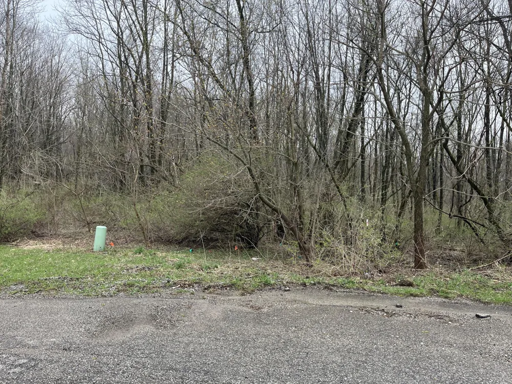 11 Forest Shores Drive Cassopolis, MI 49031