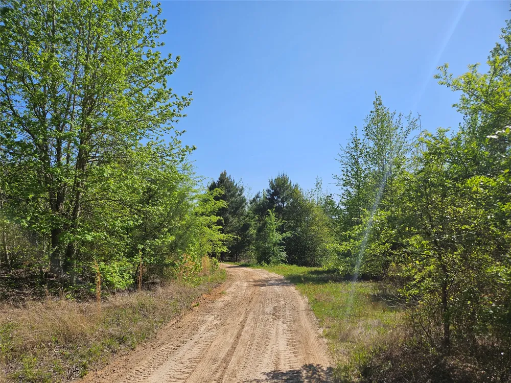FM 317 Chandler, TX 75758
