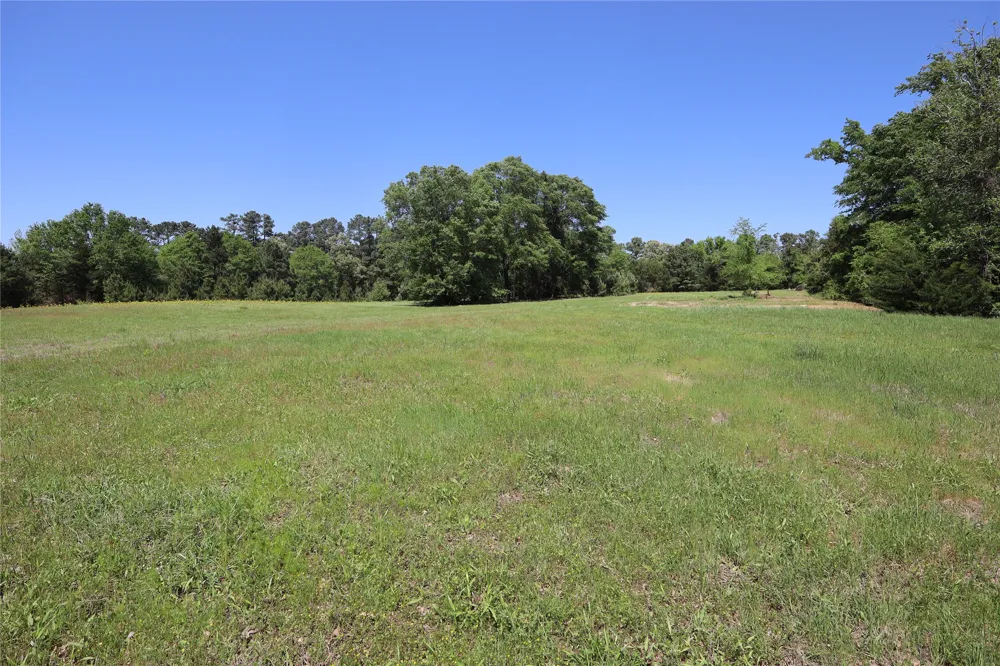 FM 317 Chandler, TX 75758