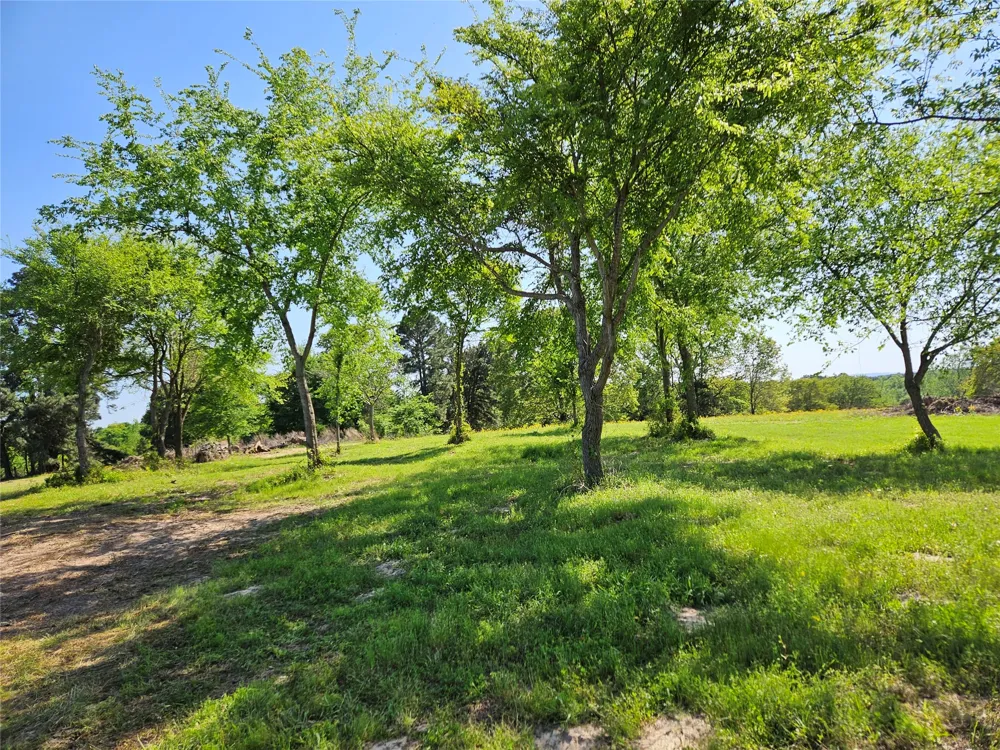 FM 317 Chandler, TX 75758
