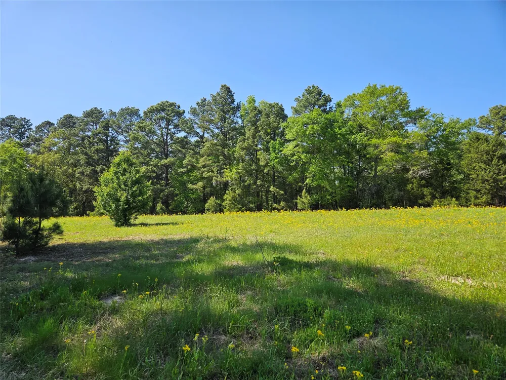 FM 317 Chandler, TX 75758