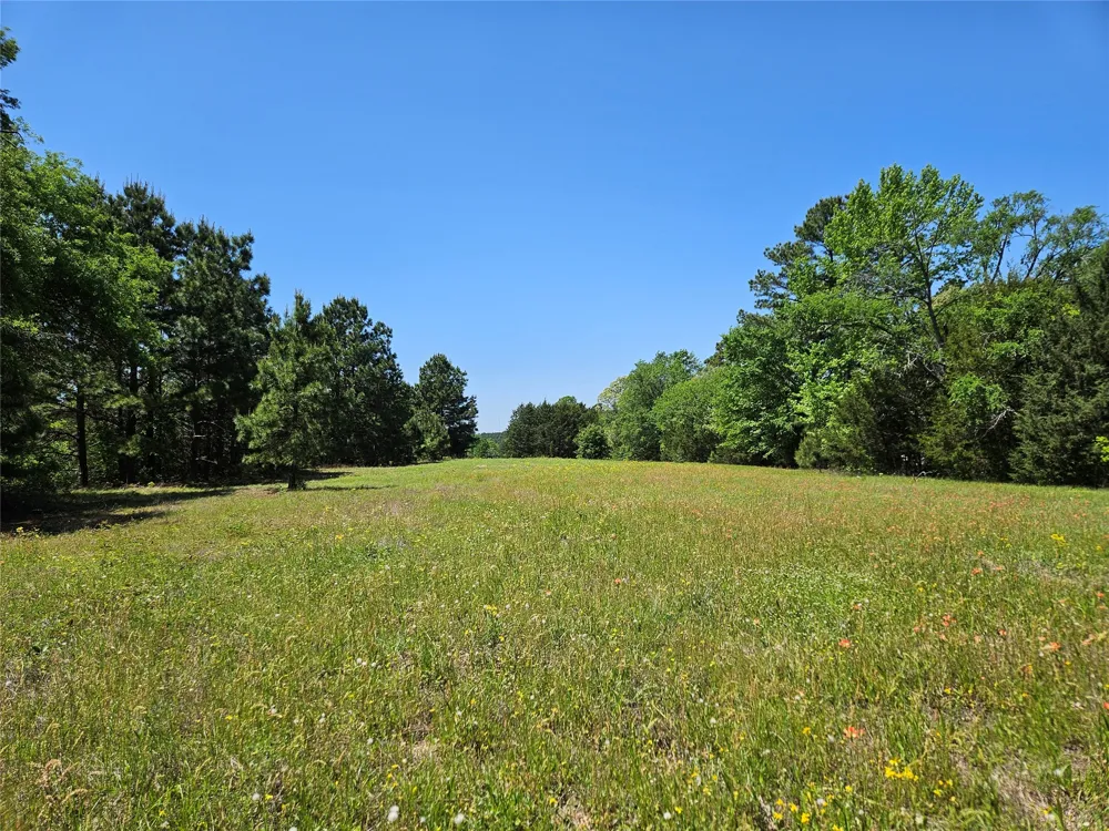 FM 317 Chandler, TX 75758