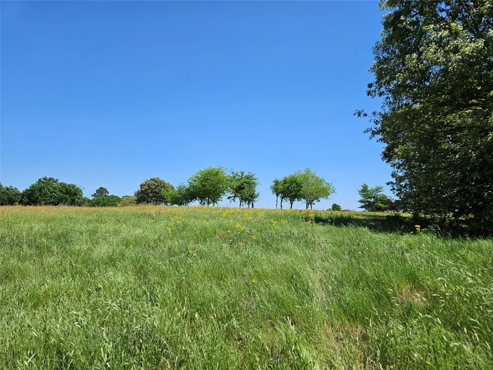 FM 317 Chandler, TX 75758