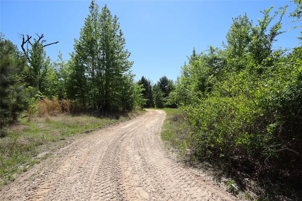 FM 317 Chandler, TX 75758