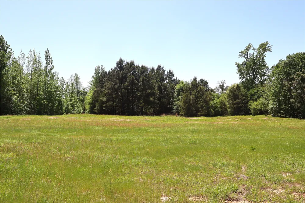 FM 317 Chandler, TX 75758