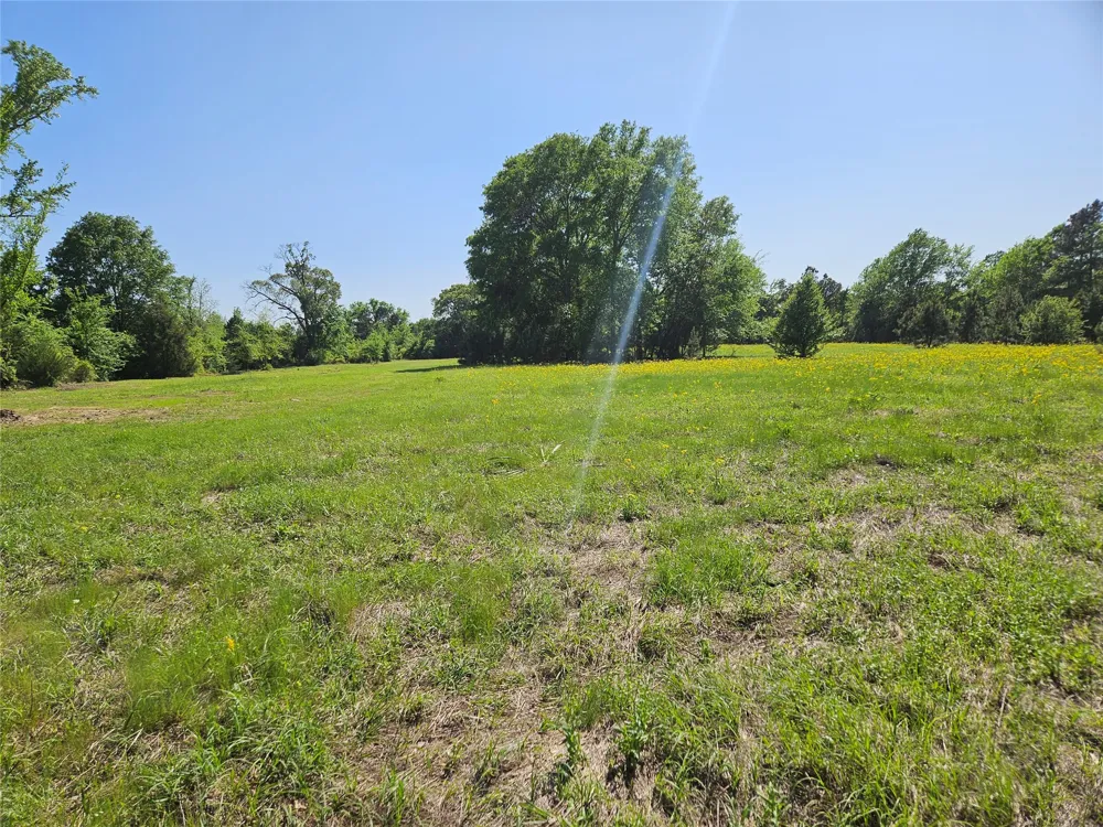 FM 317 Chandler, TX 75758