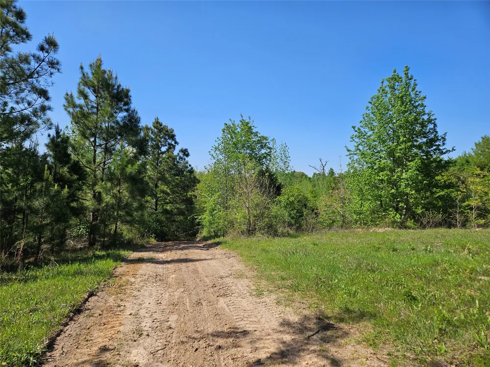 FM 317 Chandler, TX 75758