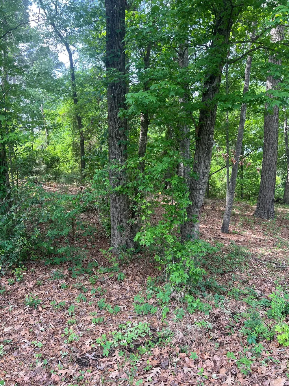5417 Briarcliff Circle Shreveport, LA 71109