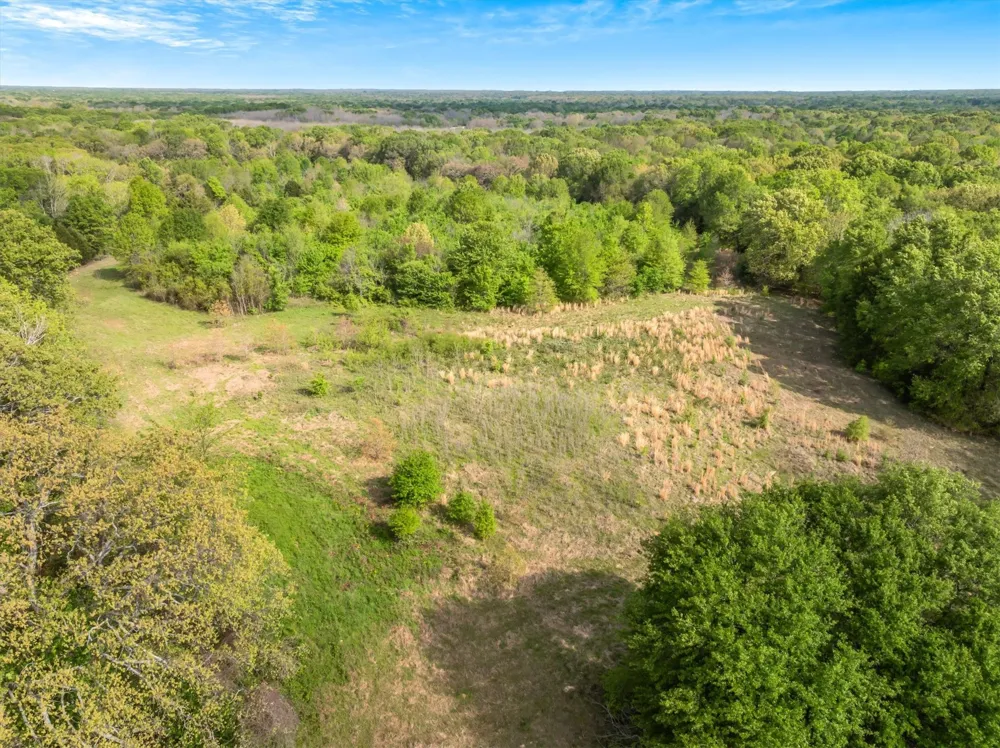SH 19 & VZCR 1925 Edgewood, TX 75117
