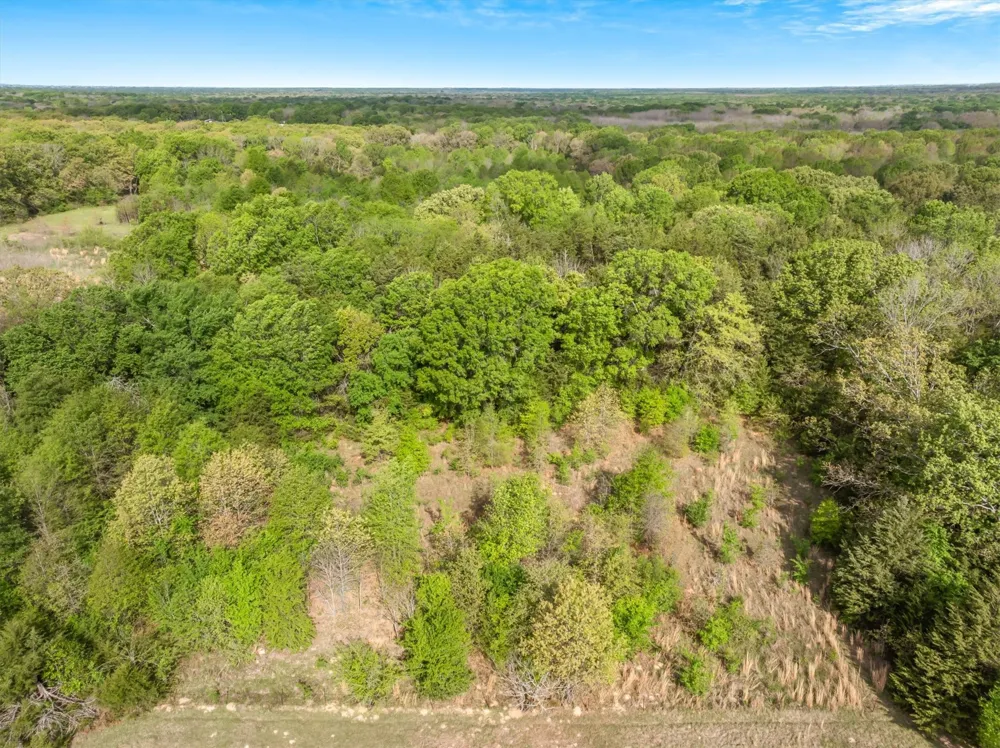 SH 19 & VZCR 1925 Edgewood, TX 75117