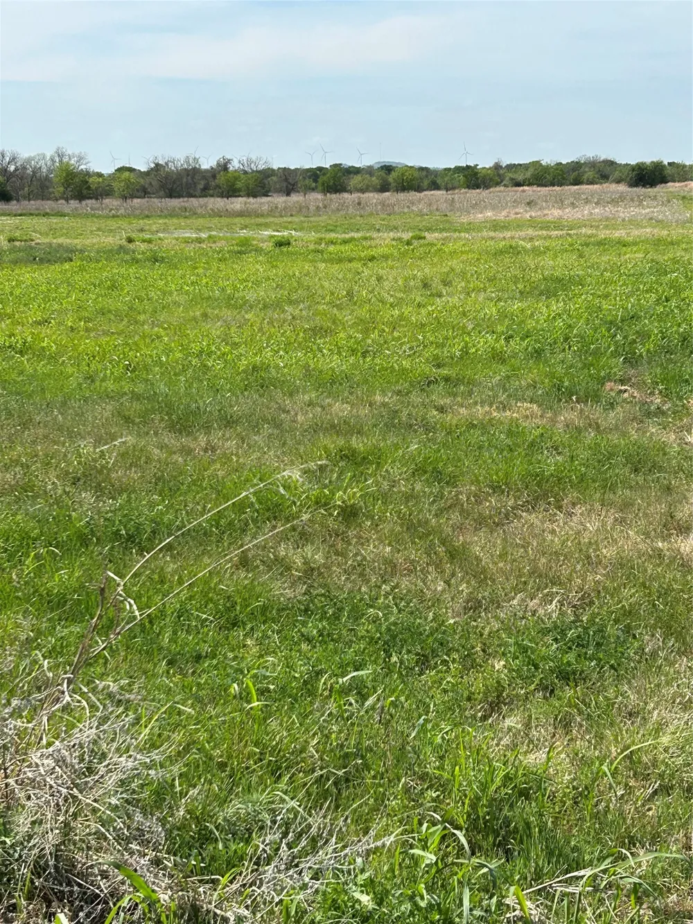 38295 N State Highway 108 Mingus, TX 76463