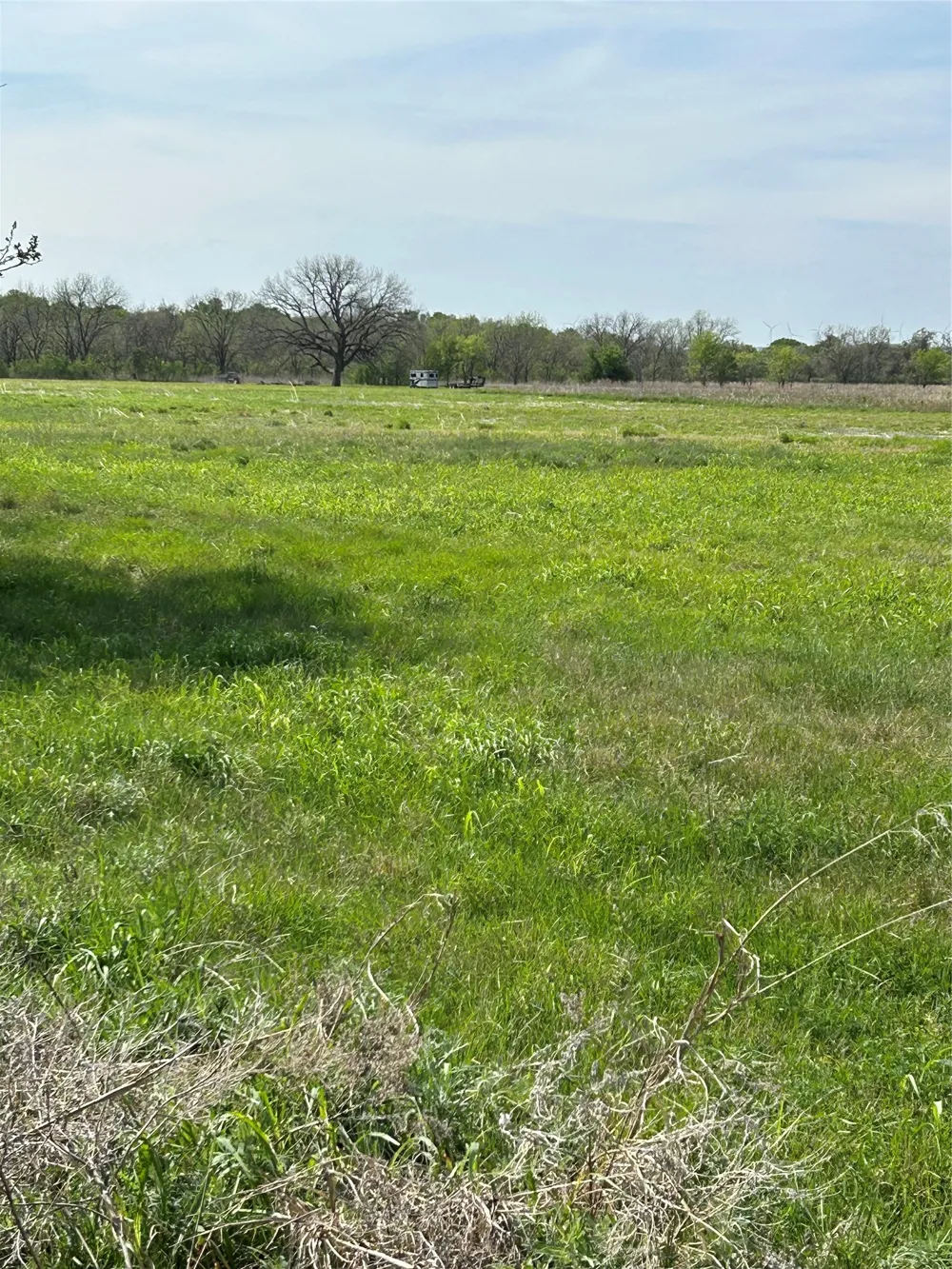 38295 N State Highway 108 Mingus, TX 76463
