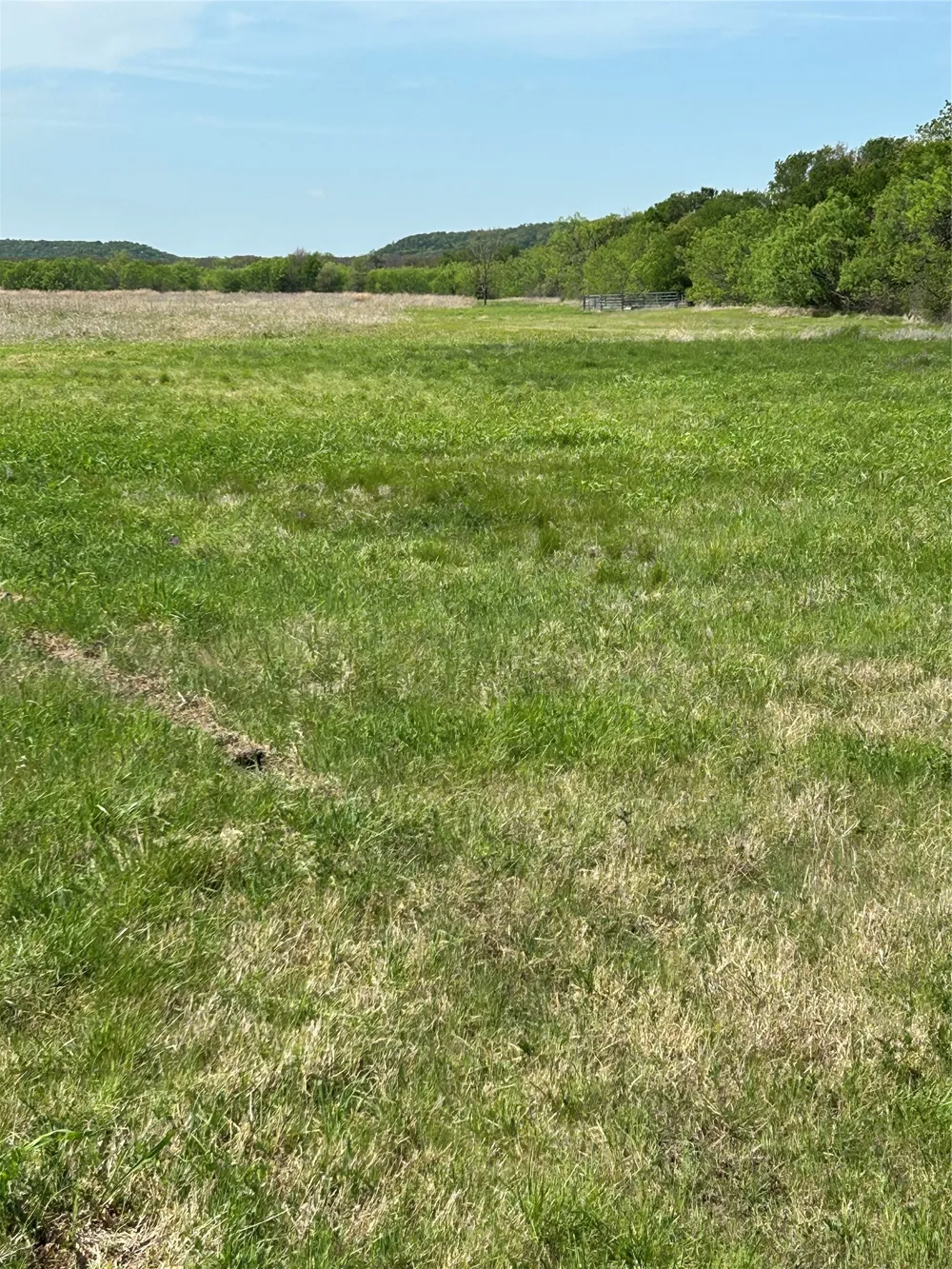 38295 N State Highway 108 Mingus, TX 76463