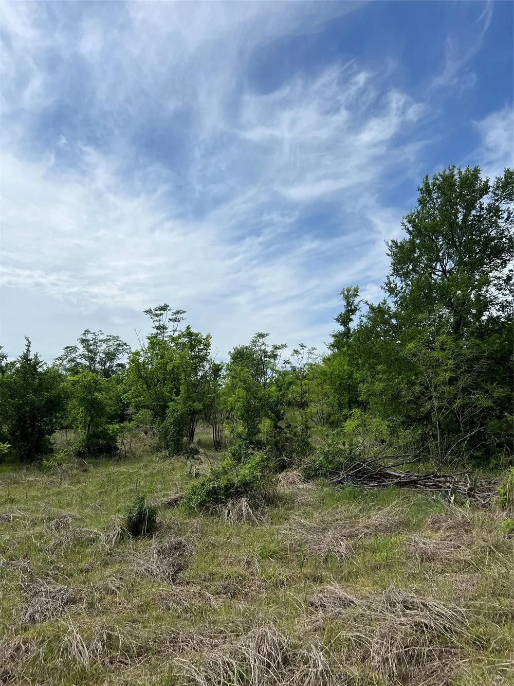 Mcgregor Drive McGregor, TX 76657