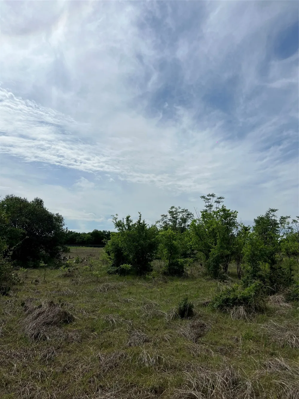 Mcgregor Drive McGregor, TX 76657