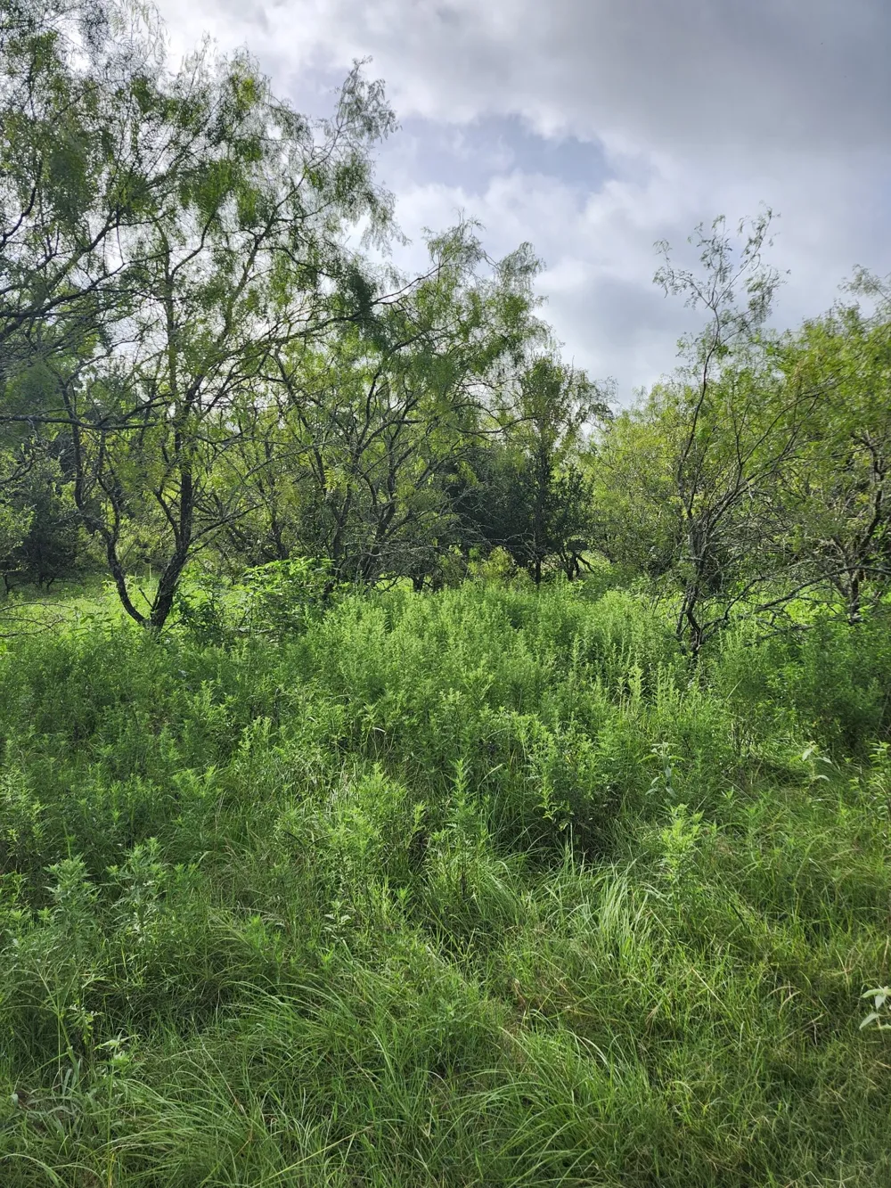 1202 Park Street Marlin, TX 76661