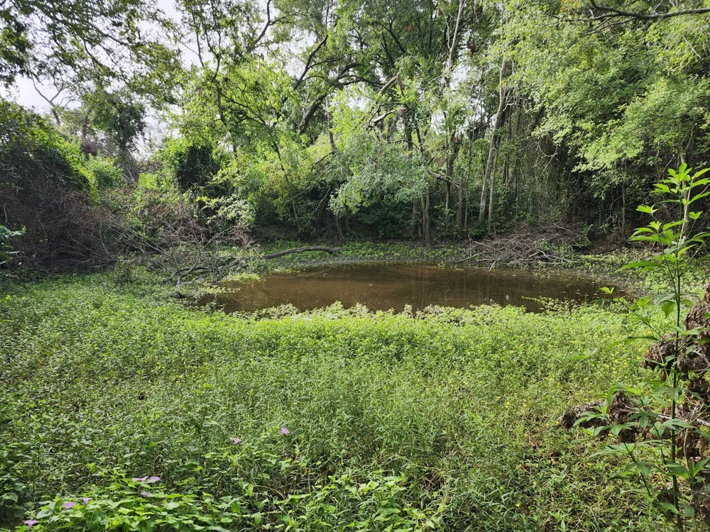 1202 Park Street Marlin, TX 76661