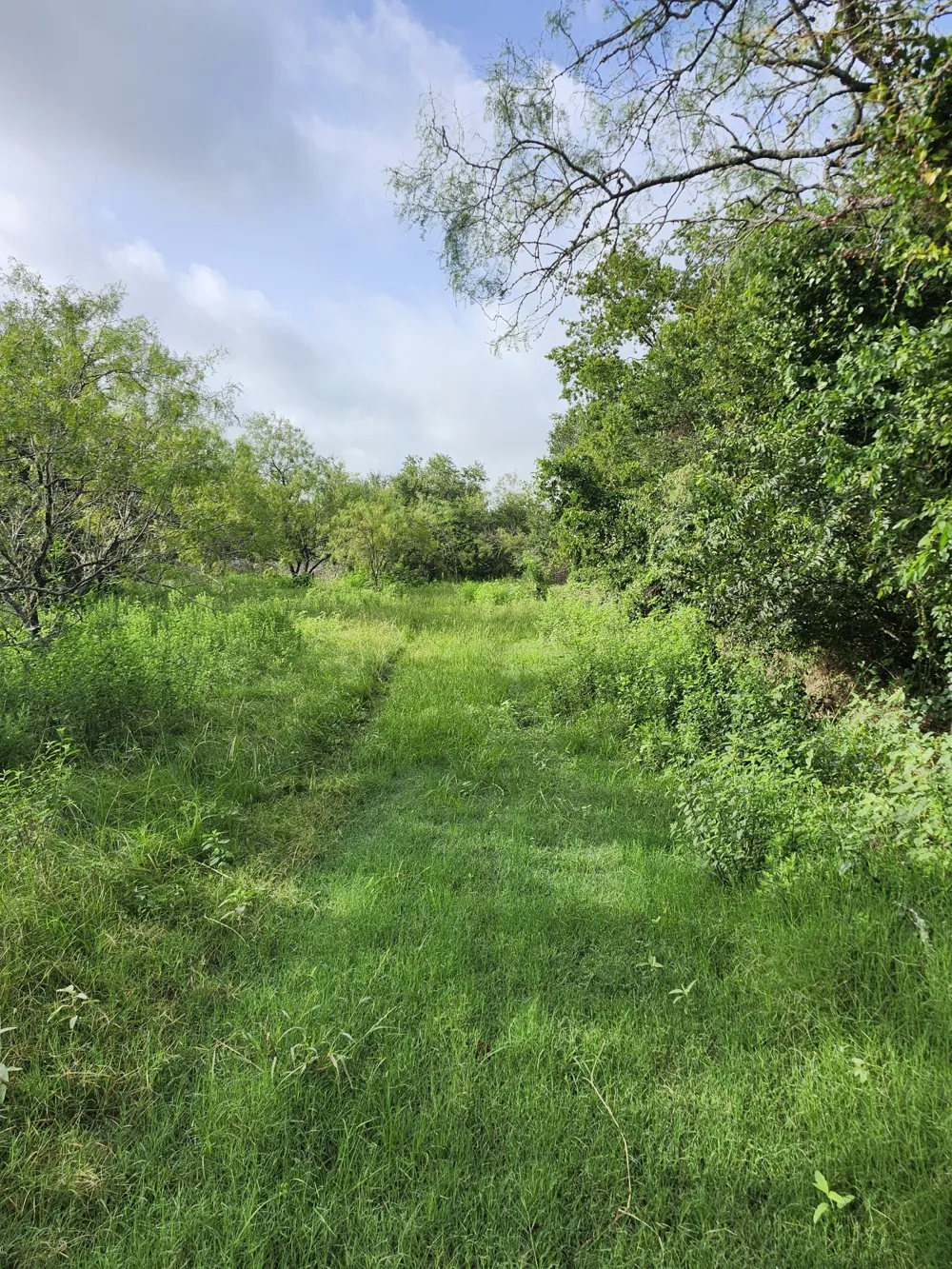 1202 Park Street Marlin, TX 76661